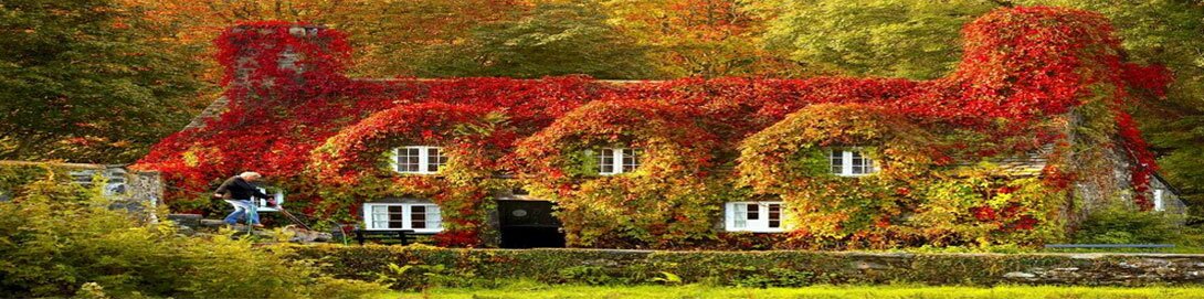 Выгребная яма своими рукам